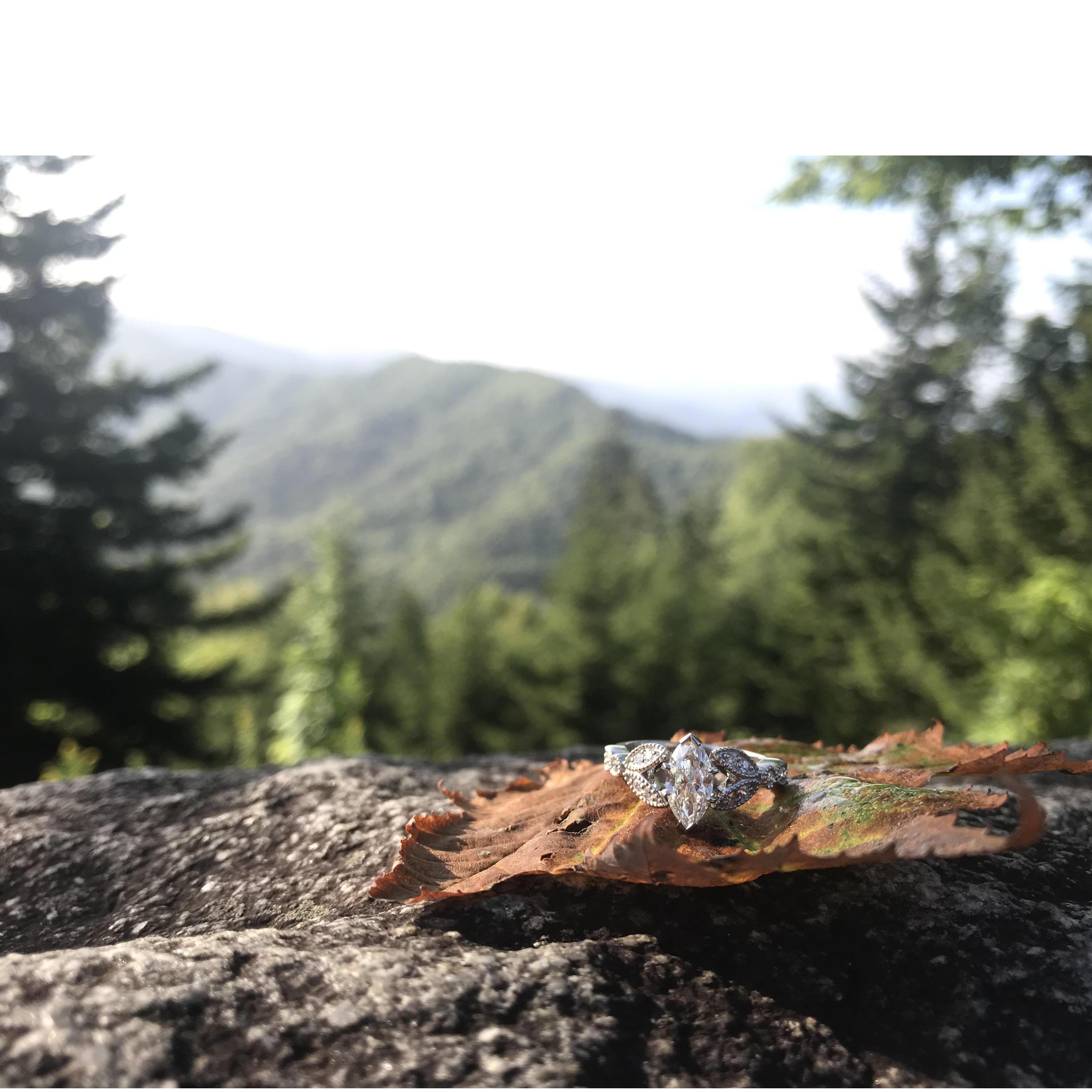 He picked a gorgeous ring from his family jeweler in Feyettvile, Arkansas.
