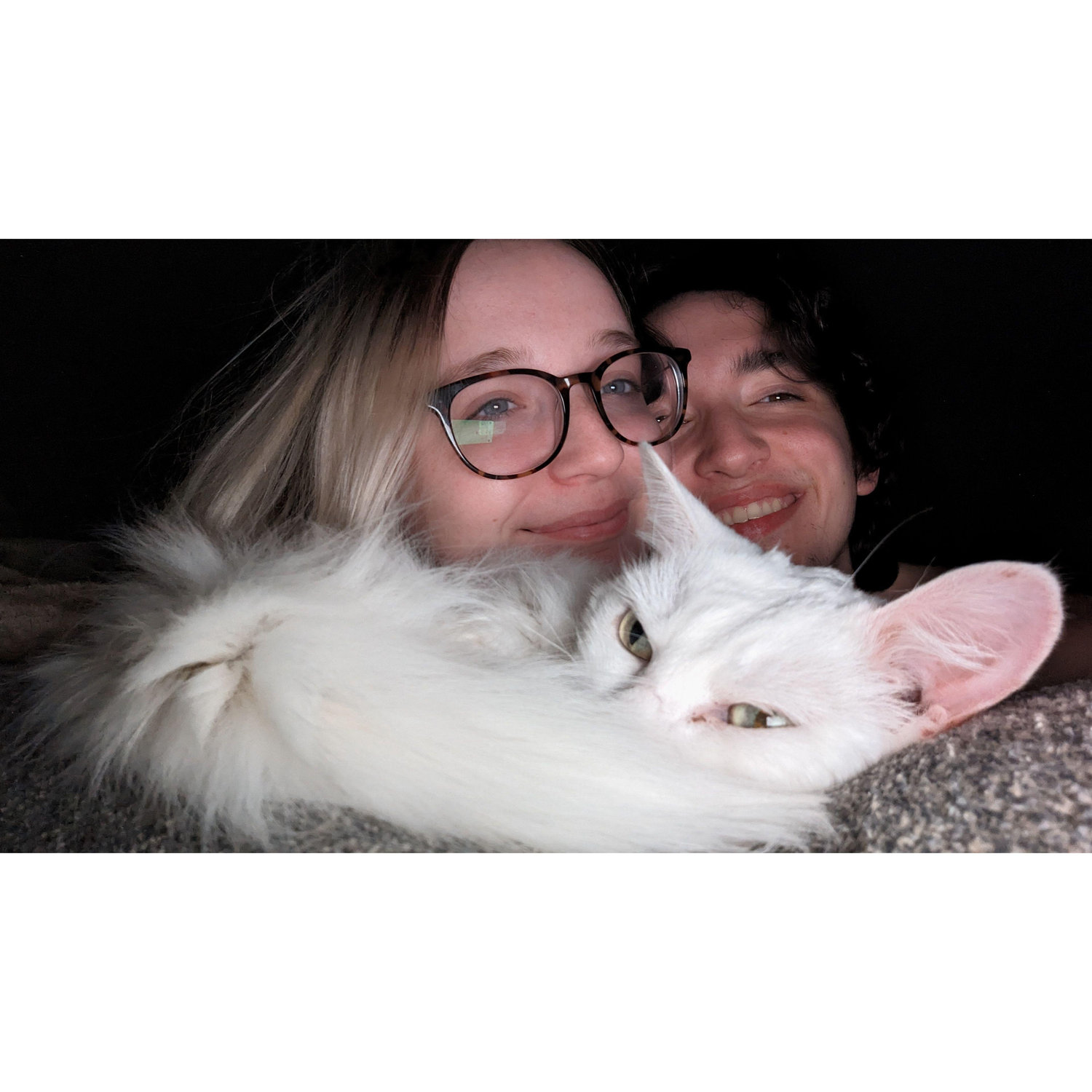 first night after Bianca moved in with us, 2024