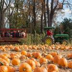 Schaefer Farms