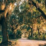 Avery Island