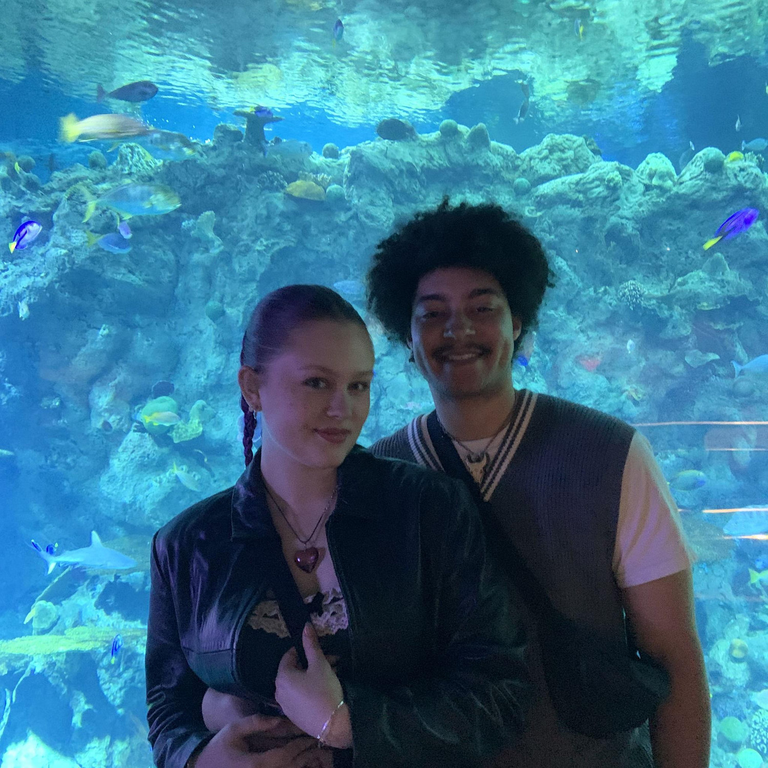 Valentines day at the Aquarium of the Pacific