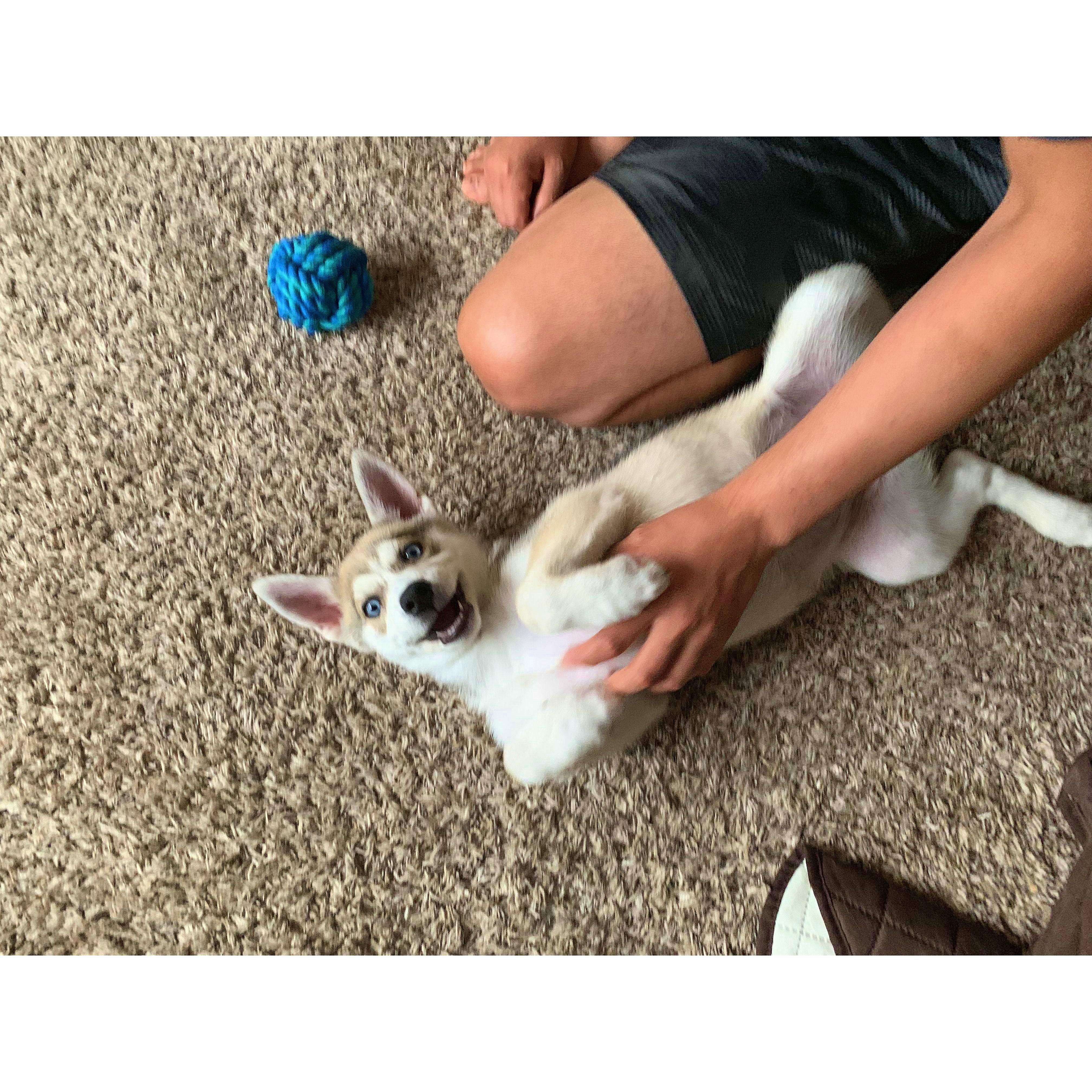 In 2019, we added another member to our family, Nyla.