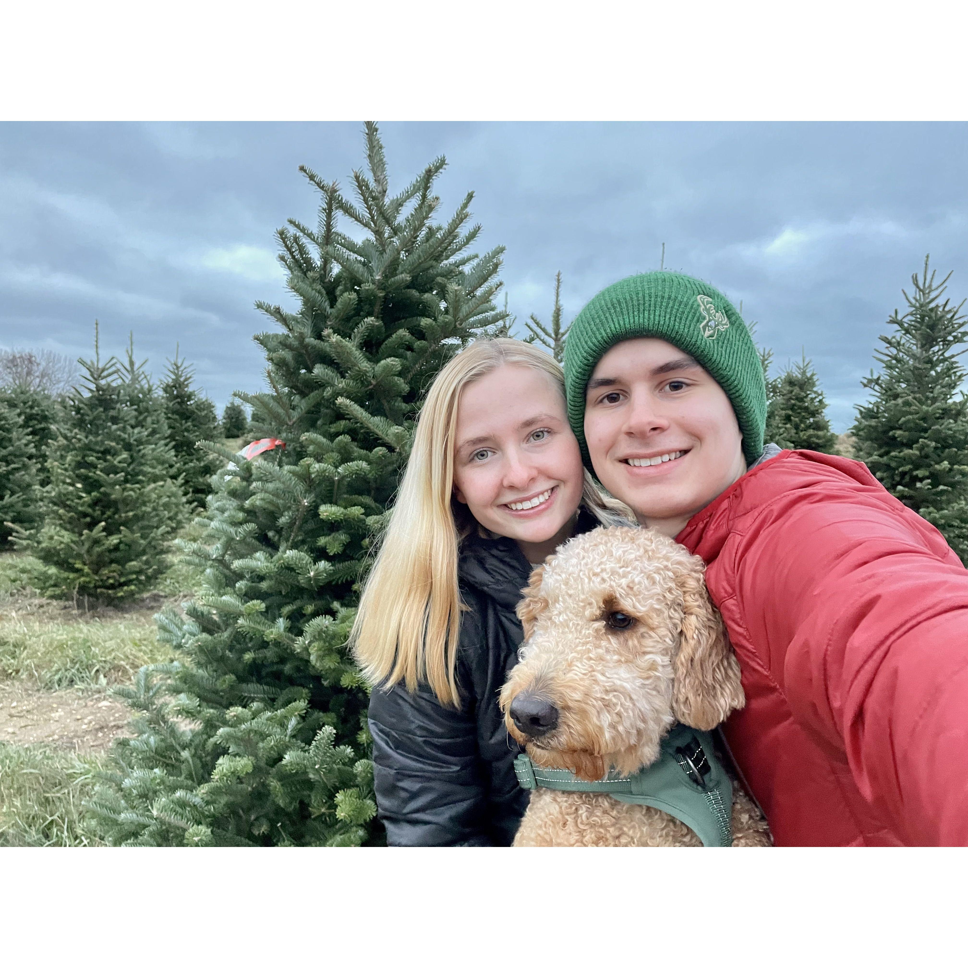 Getting our first Christmas tree together, 2021