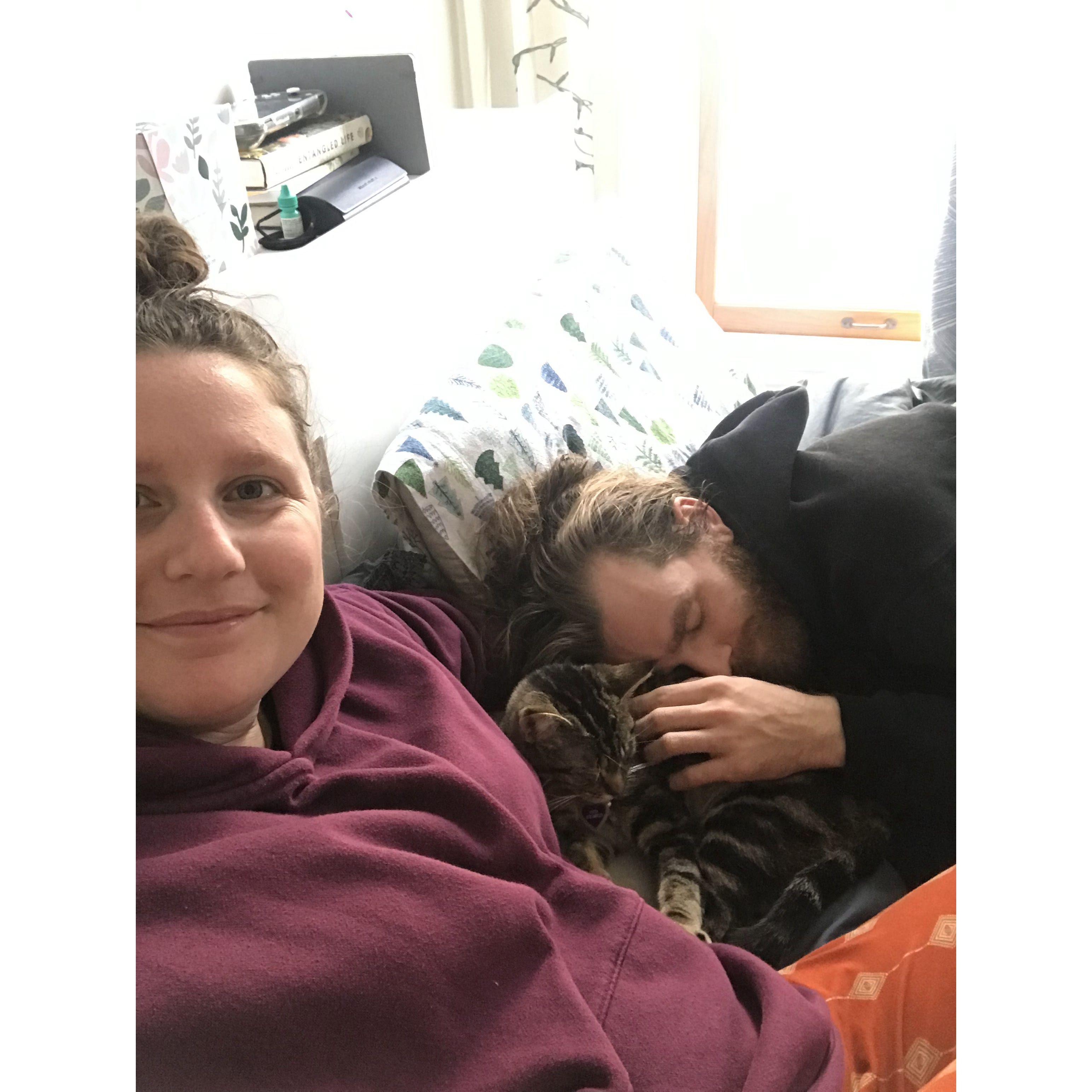 Cuddling our kitty - Freya Scrambles