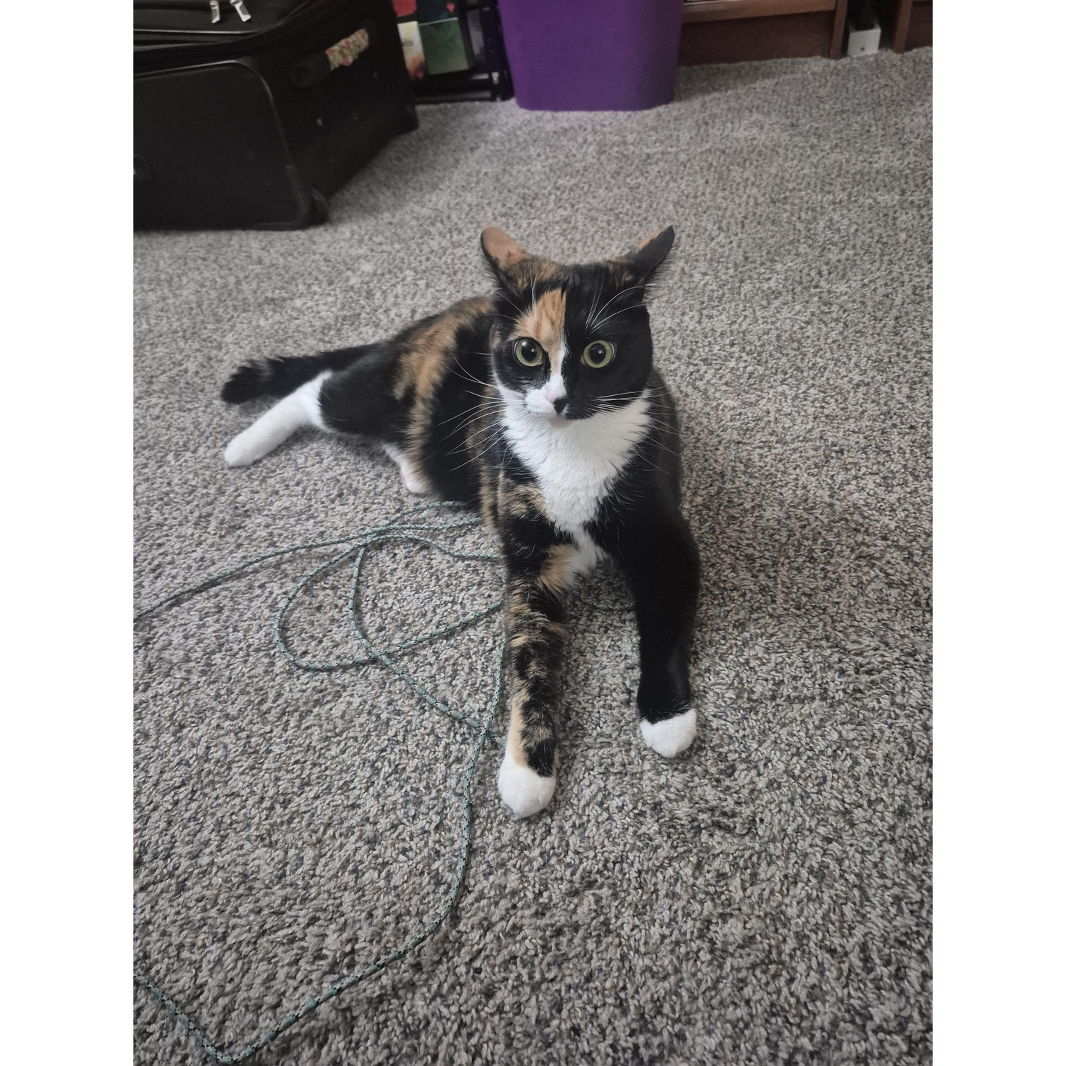 Kilala and her true love, her string