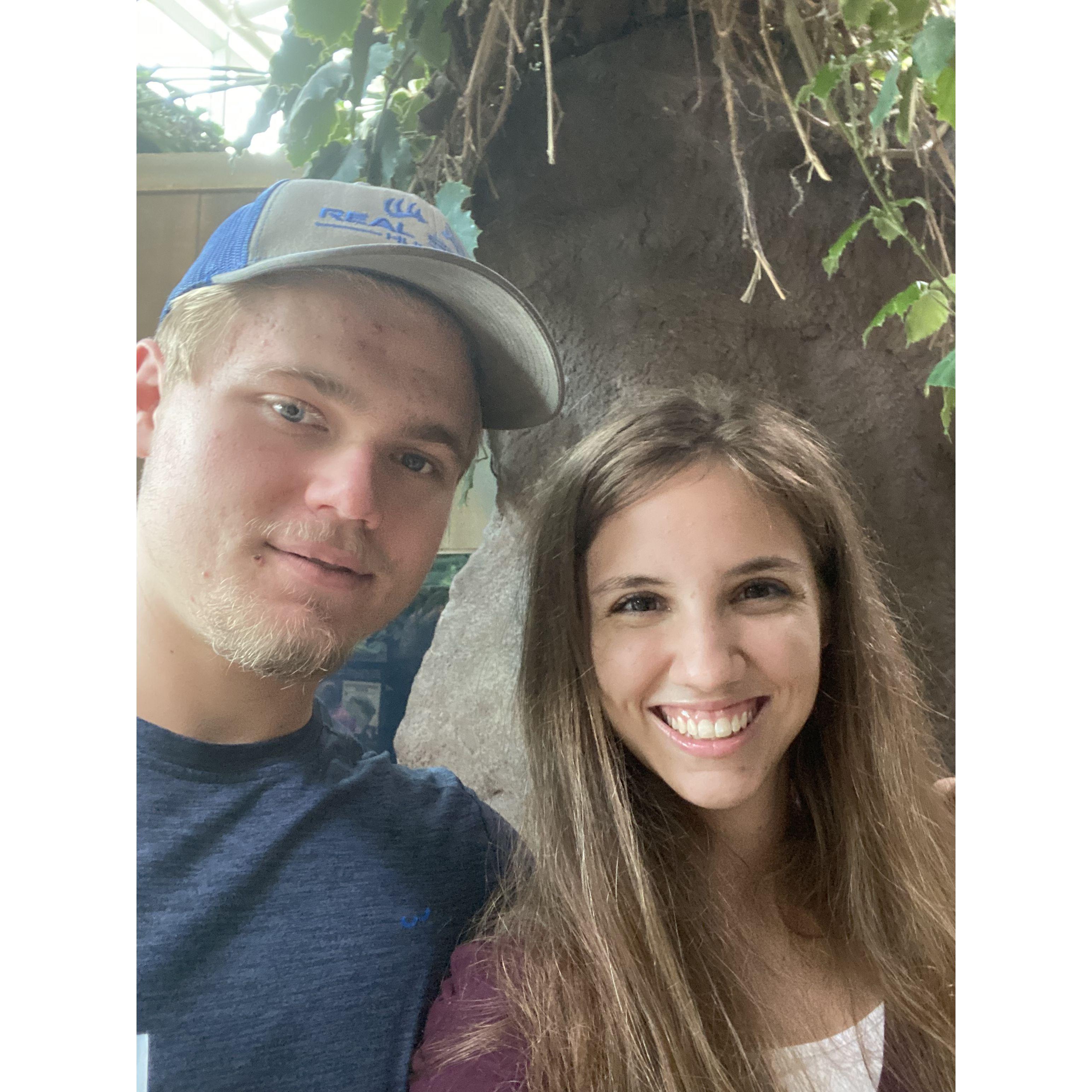 More aquarium pictures!