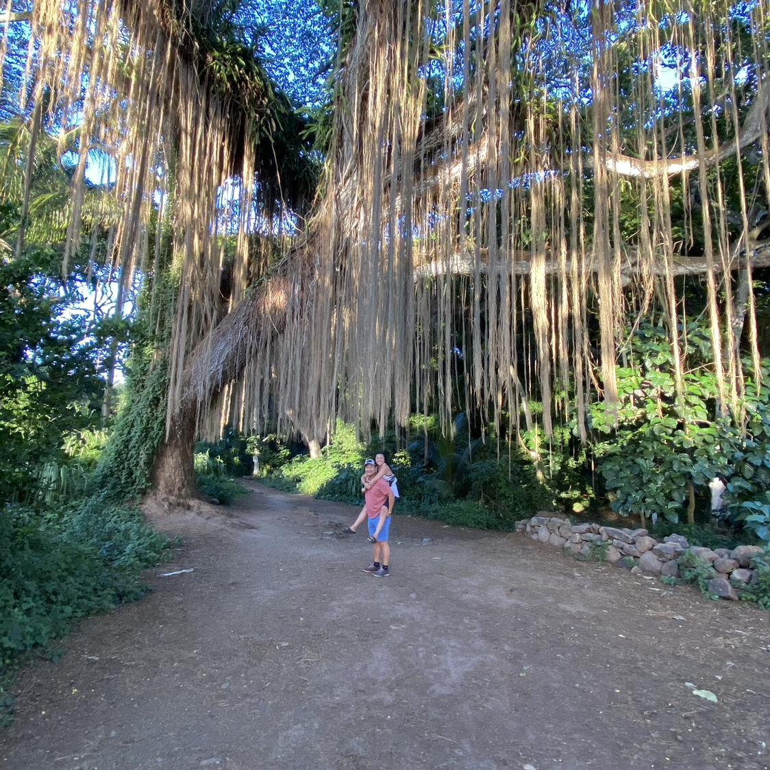 Lahaina, Maui 🌺