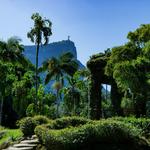 Botanical Garden of Rio de Janeiro
