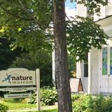 The Nature Museum