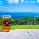 Bear Chase Brewery