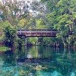 Silver Springs State Park