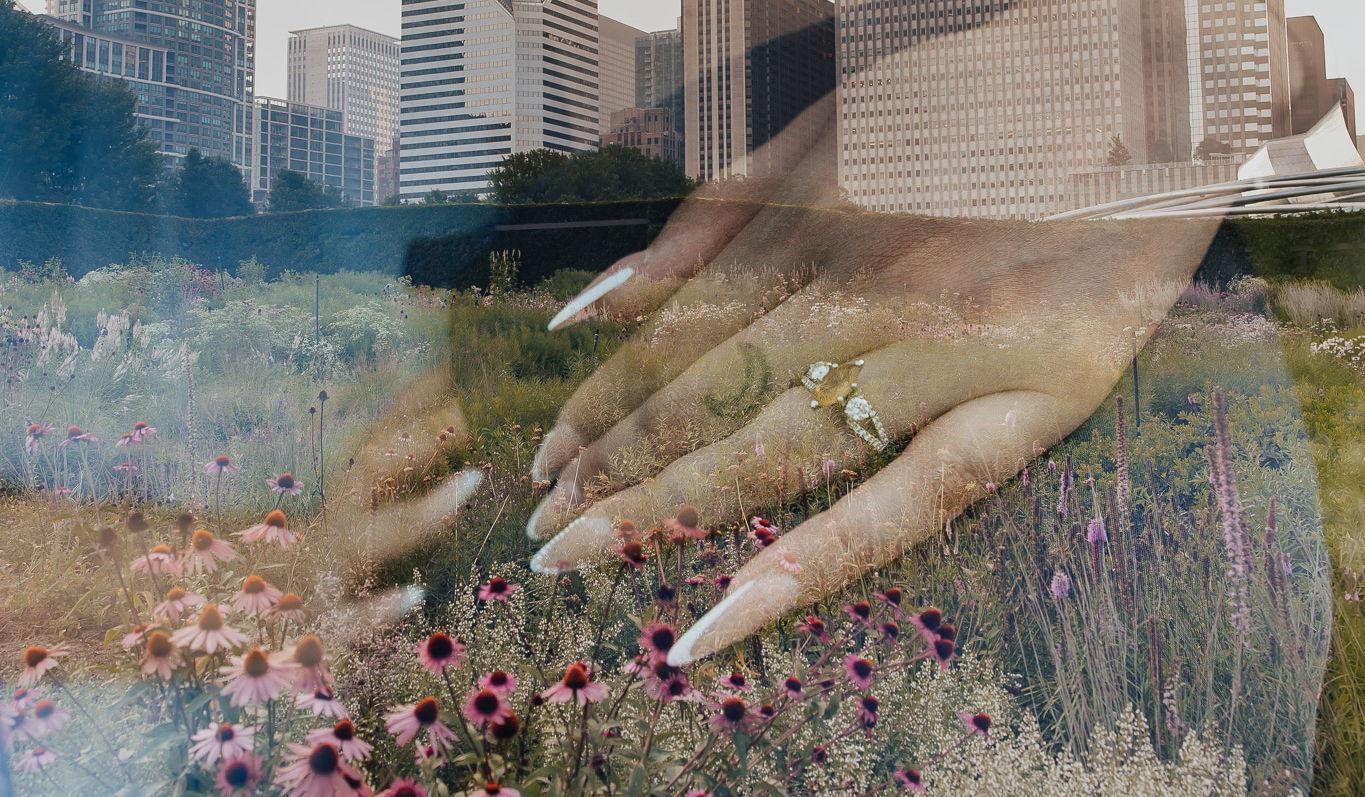 Hero Slideshow Image 5