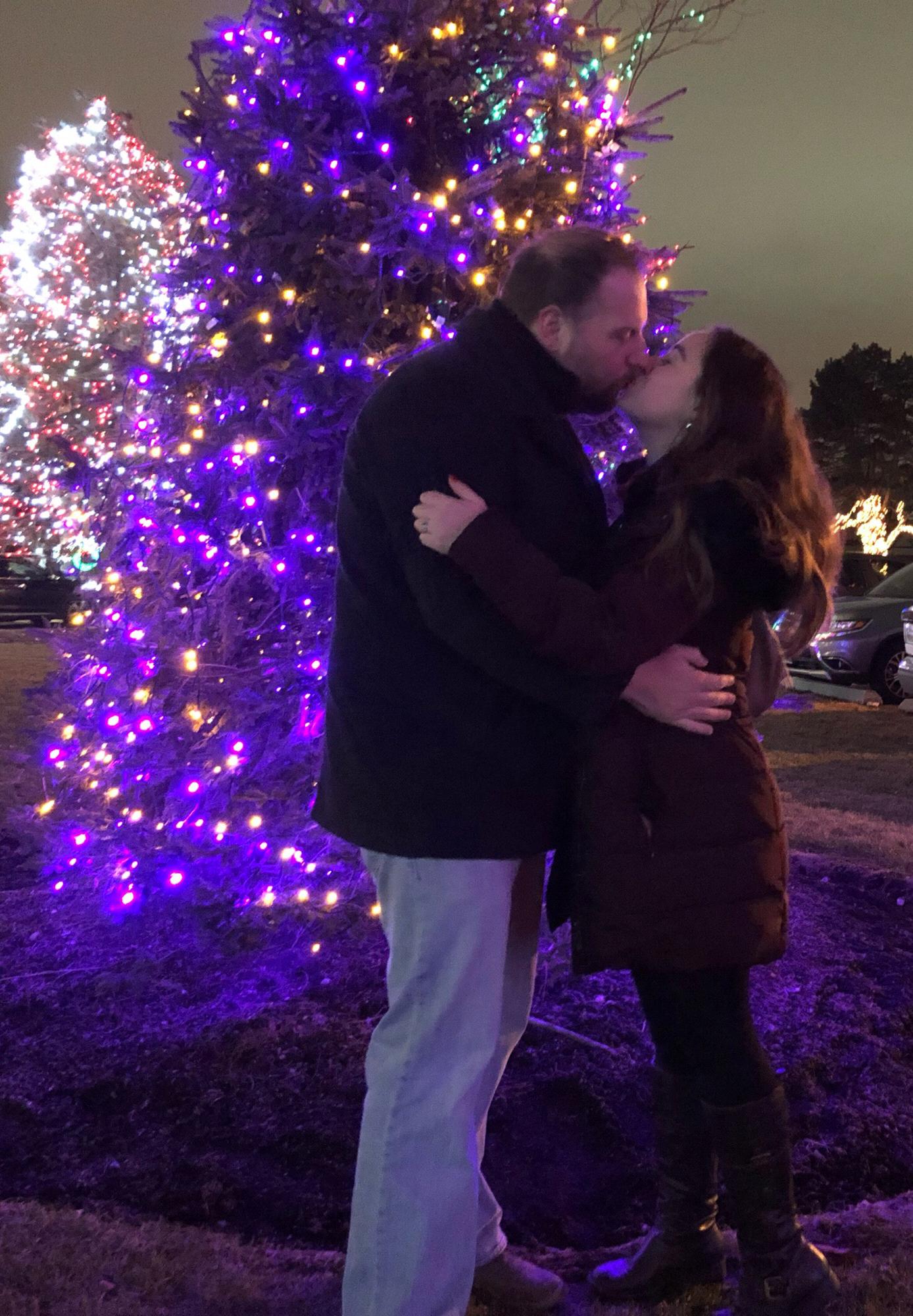 Rosemont Christmas Display--Year 2.