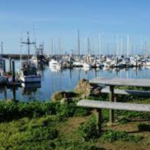 Pillar Point Harbor