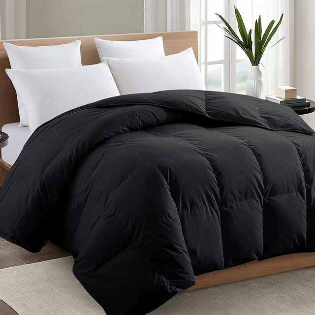 TEXARTIST Premium 2100 Series Oversized Queen Comforter All Season Breathable Black Comforter Soft 4D Spiral Fiber Quilted Down Alternative Duvet with Corner Tabs Hotel Style (98"x98")