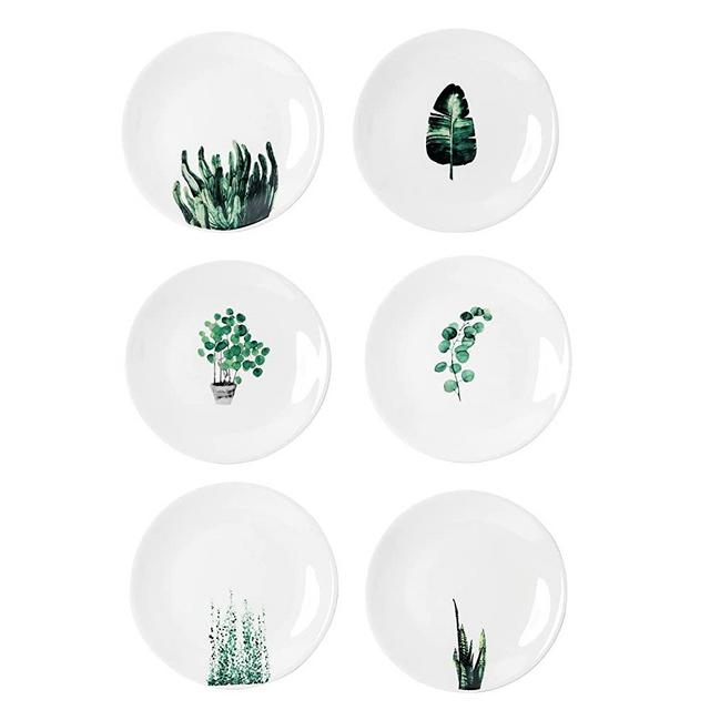 YCBH 6 Inch Set of 6 Assorted Designs, Small Porcelain Plates with Plants Pattern,White Ceramic Dinnerware for Appetizer Luncheon Snacks Dessert Serving Bread, Microwave Oven Dishwasher Safe