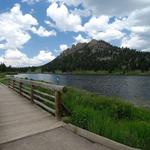 Lily Lake Trail