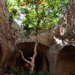 Forestiere Underground Gardens