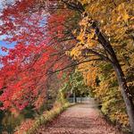 Mine Falls Park