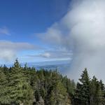 Mount Constitution