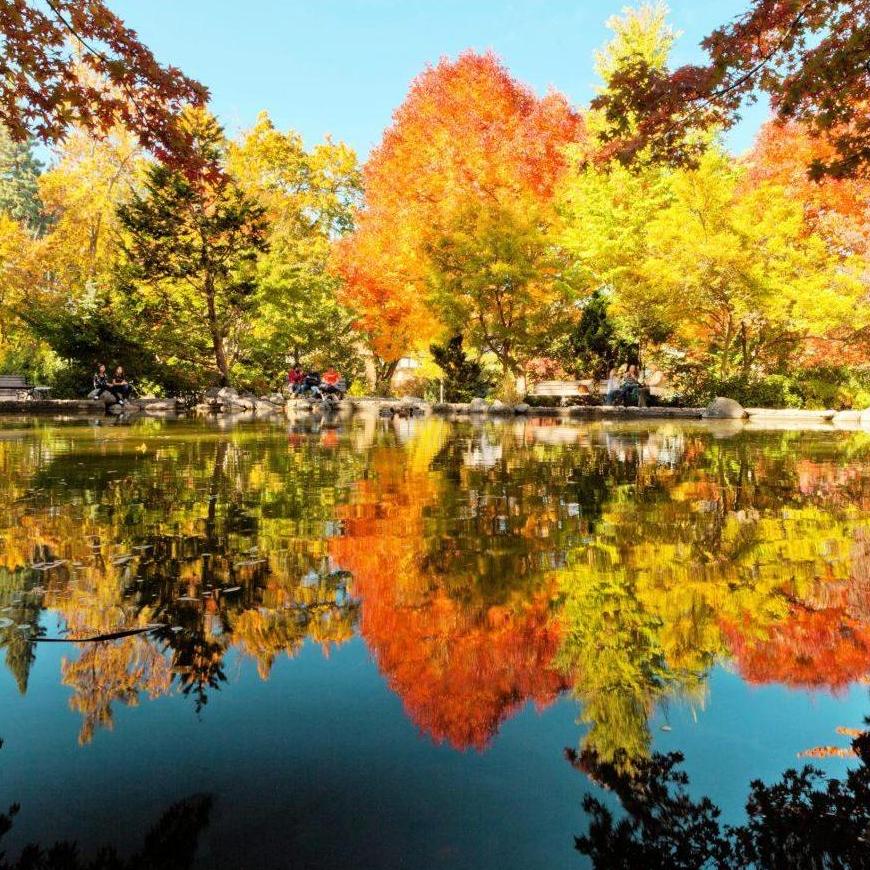There will be plenty of beautiful sites to see around town.