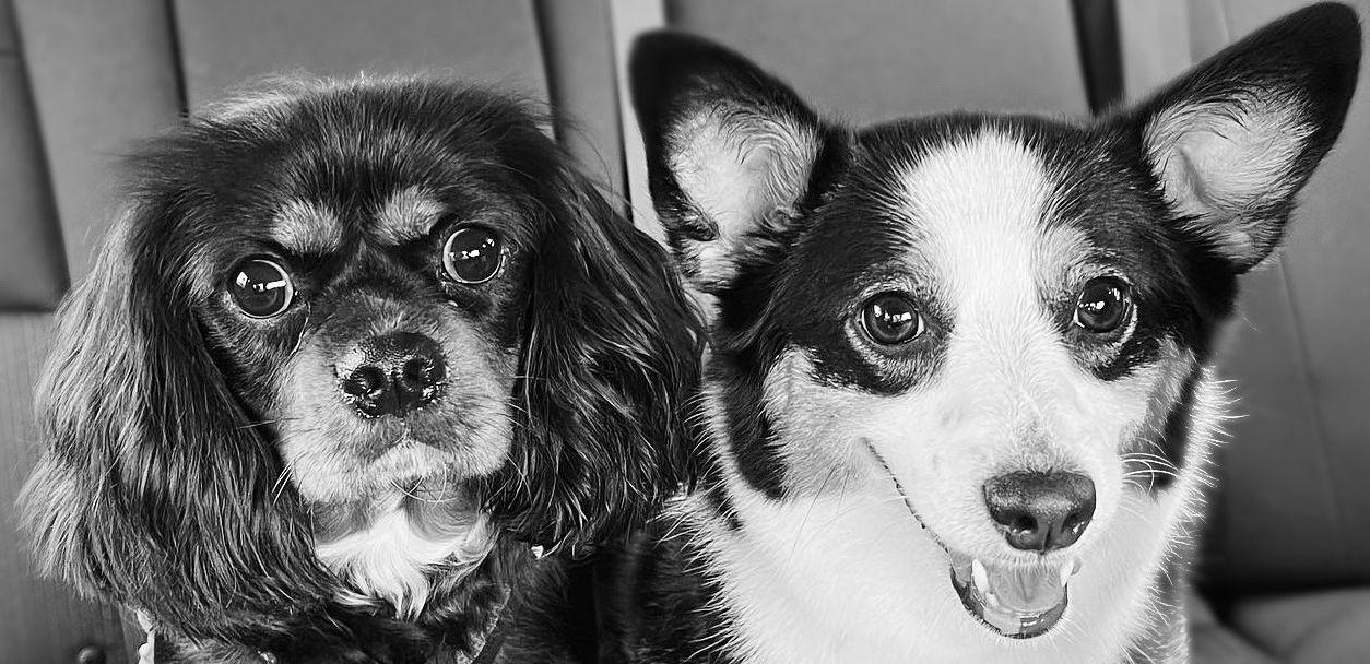 The Wedding Website of Audria Brenes and Ronald Brenes