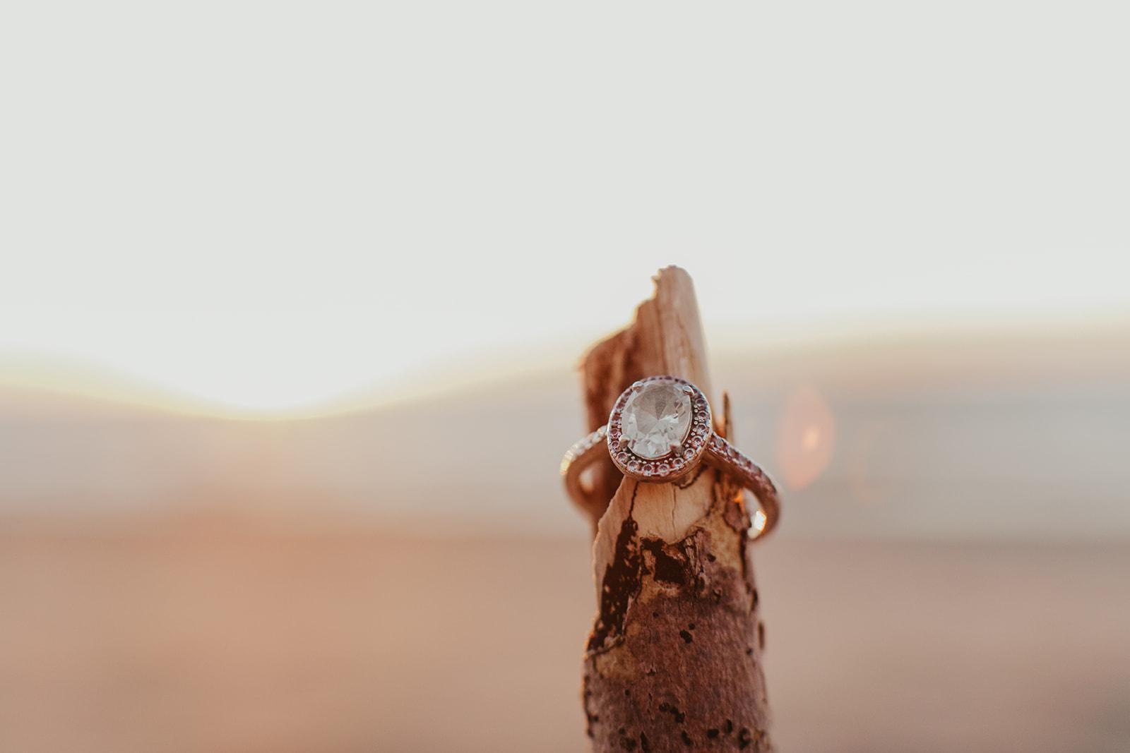 The Wedding Website of Sarah Gates and Elvis Plaza