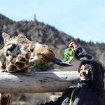 Cheyenne Mountain Zoo