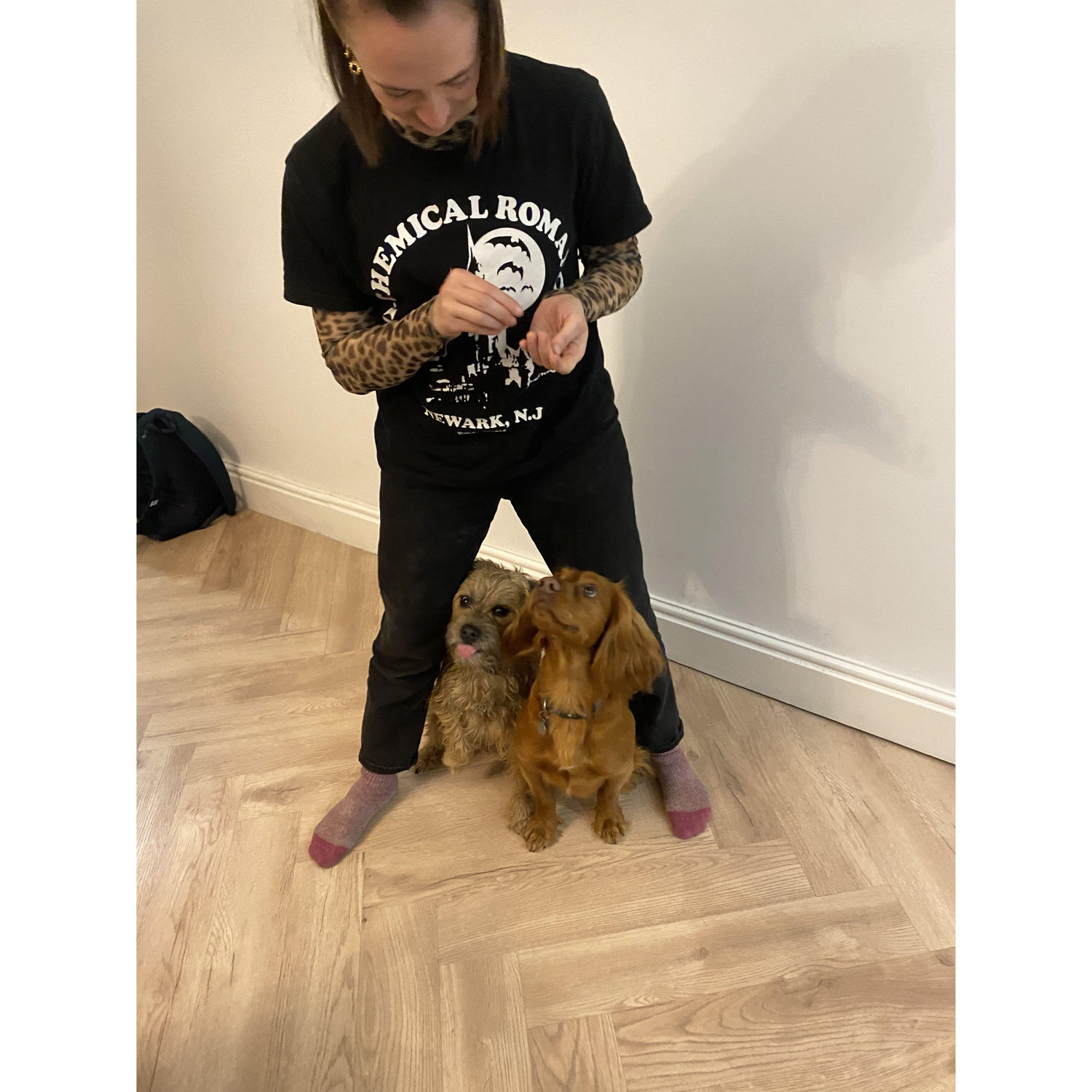 Dog whisperer