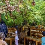 Al Barari Nature Escapes