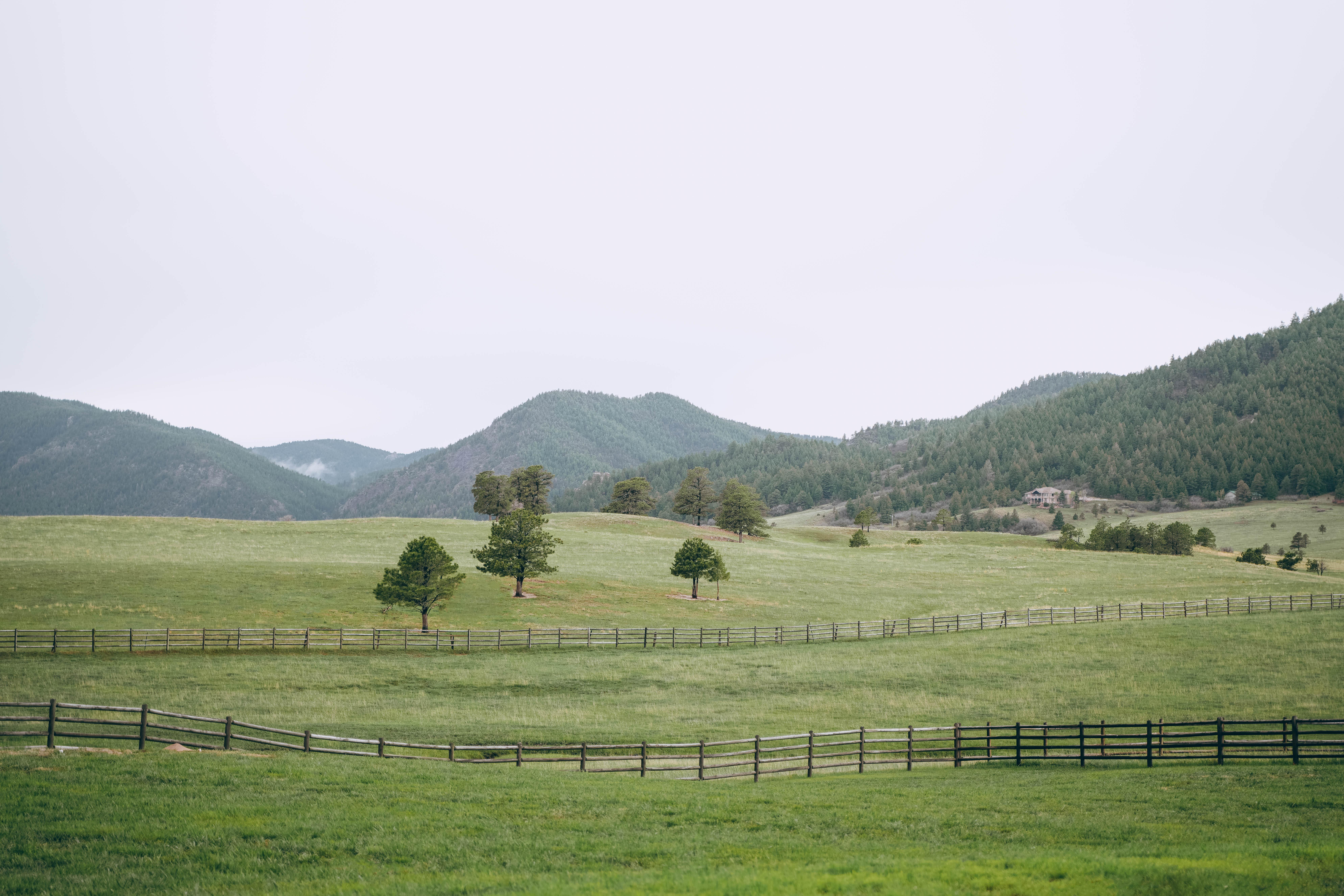 The Wedding Website of Elle Steele and Ryan Lavelle