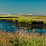 Edwin B. Forsythe National Wildlife Refuge