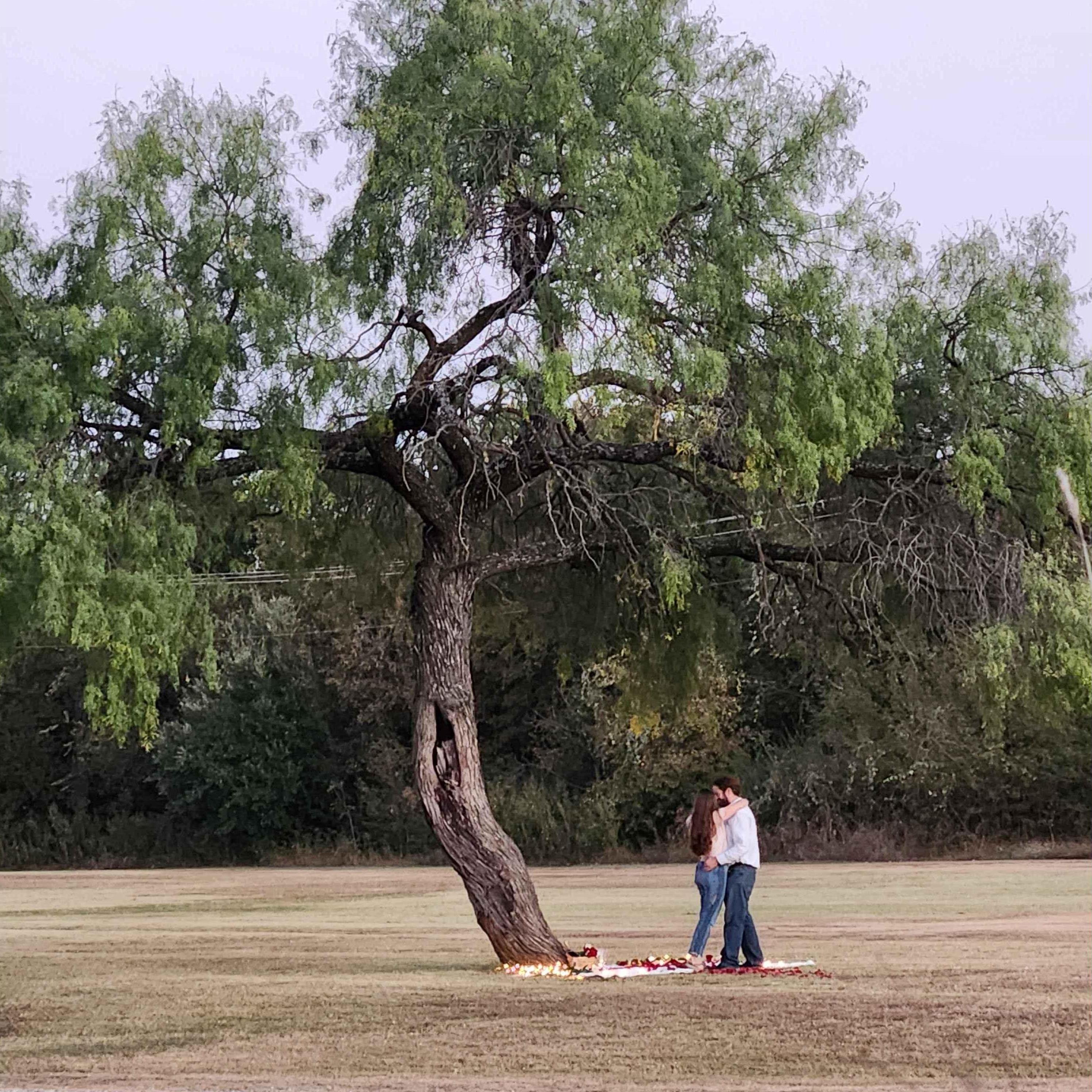 The proposal