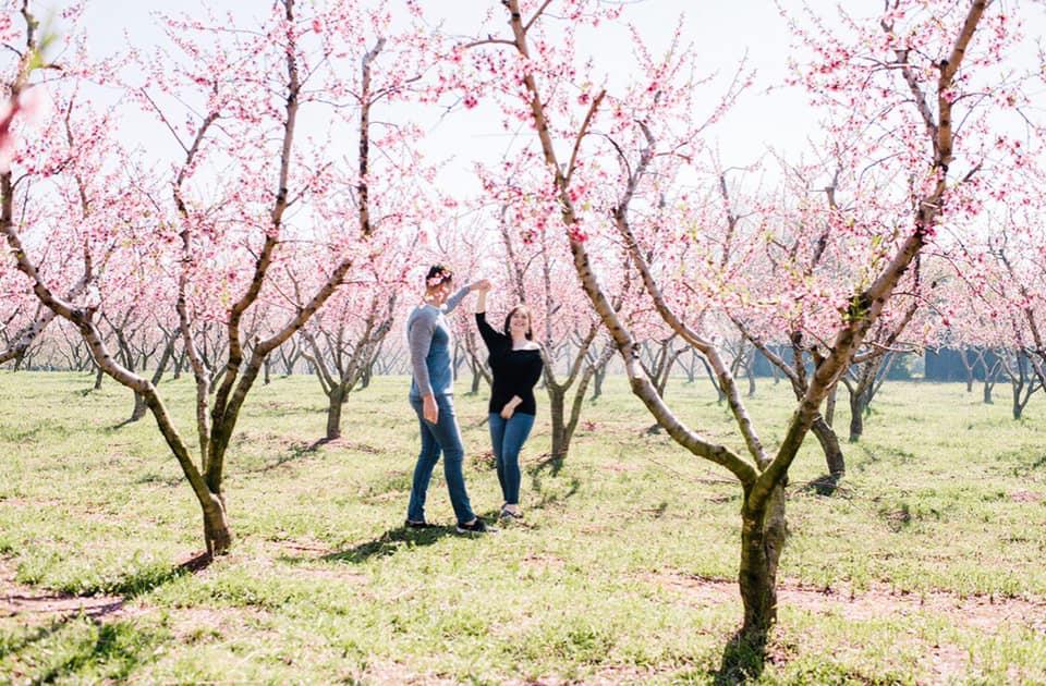 The Wedding Website of Kaylee Holliday and Leandro Fortes