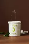 Picnic Ceramic Jar Candle - Citron Basil