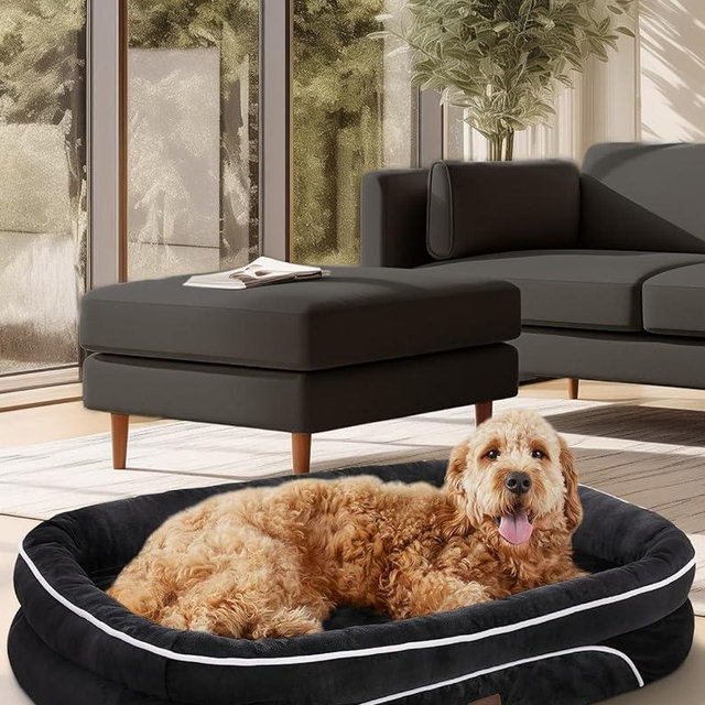 OhGeni Orthopedic Big Dog Couch X-Large Sized Pet Beds for Fathers Gifts with Comfort Foam Support, Soft Indestructible Fabric, Machine Washable Waterproof Removable Cover, 42-Inch (Black)