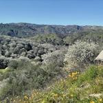 Santa Margarita River Trail Preserve