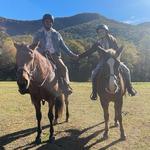 Trackrock Stables