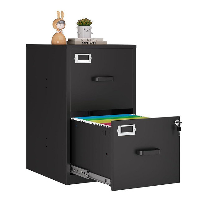 Anxxsu 2 Drawer File Cabinet with Lock,Black Metal Vertical File Cabinets for Letter Size, Filing Cabinets for Home Office, Under Desk File Cabinet, Easy Assemble