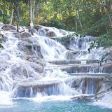 The World Famous Dunn's River Falls & Park