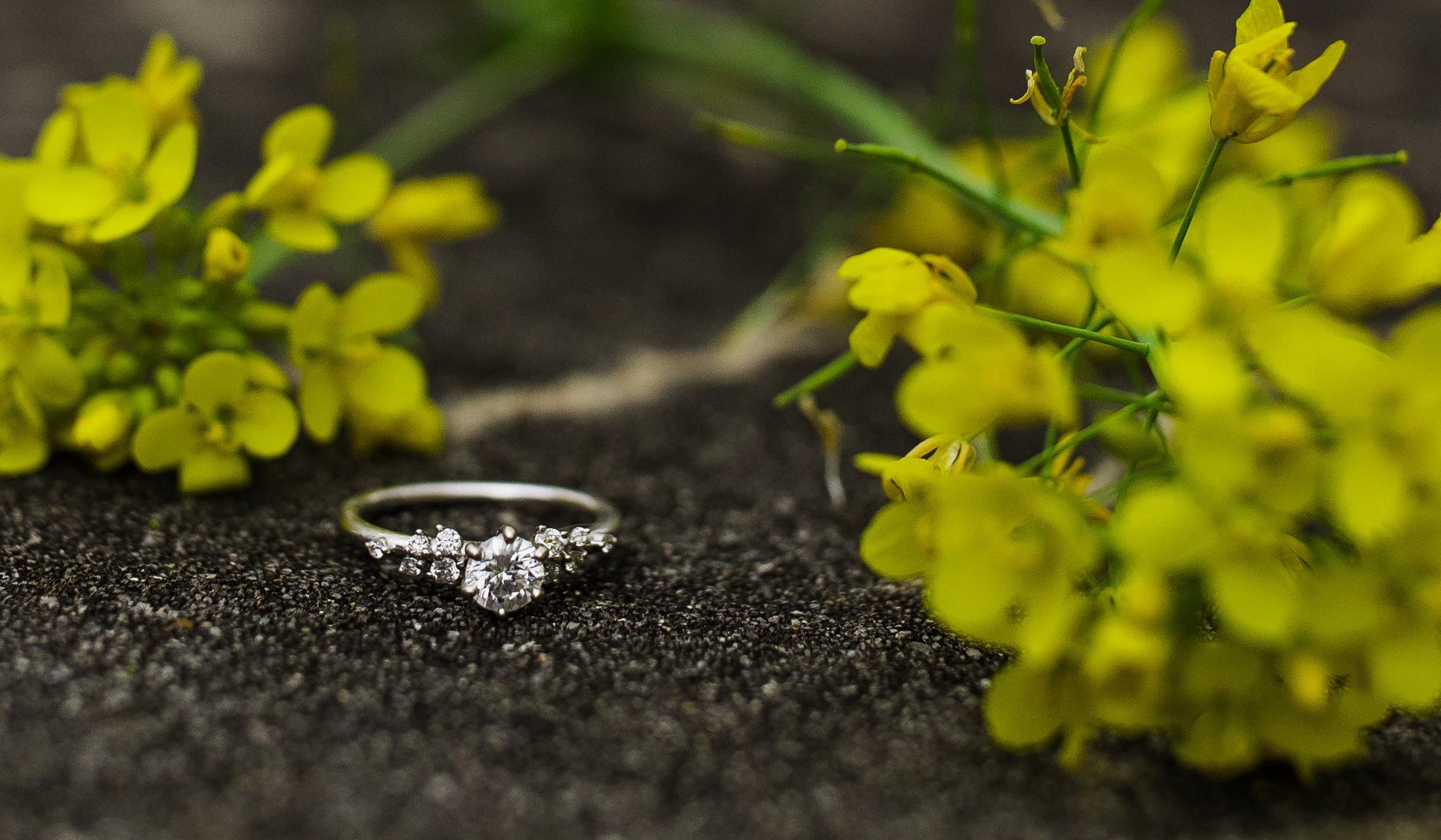 The Wedding Website of HANNA WESTWOOD and ANDREW SMITH