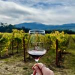 Napa