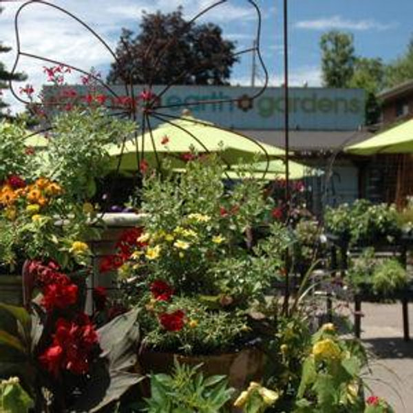 GIFT CARDS — Mother Earth Gardens