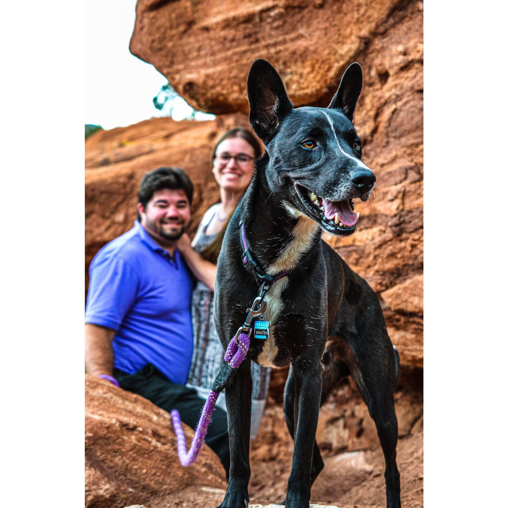 Engagement photos taken in 2020 by Kaitlyn in Garden of the Gods, Colorado.