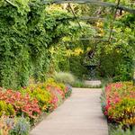 Cheekwood Estate and Gardens