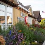 Wild Tomato Wood-Fired Pizza and Grille Sister Bay