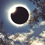 Total Eclipse Over Dallas on April 8