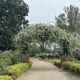 Tyler Rose Garden
