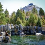 Omaha's Henry Doorly Zoo and Aquarium