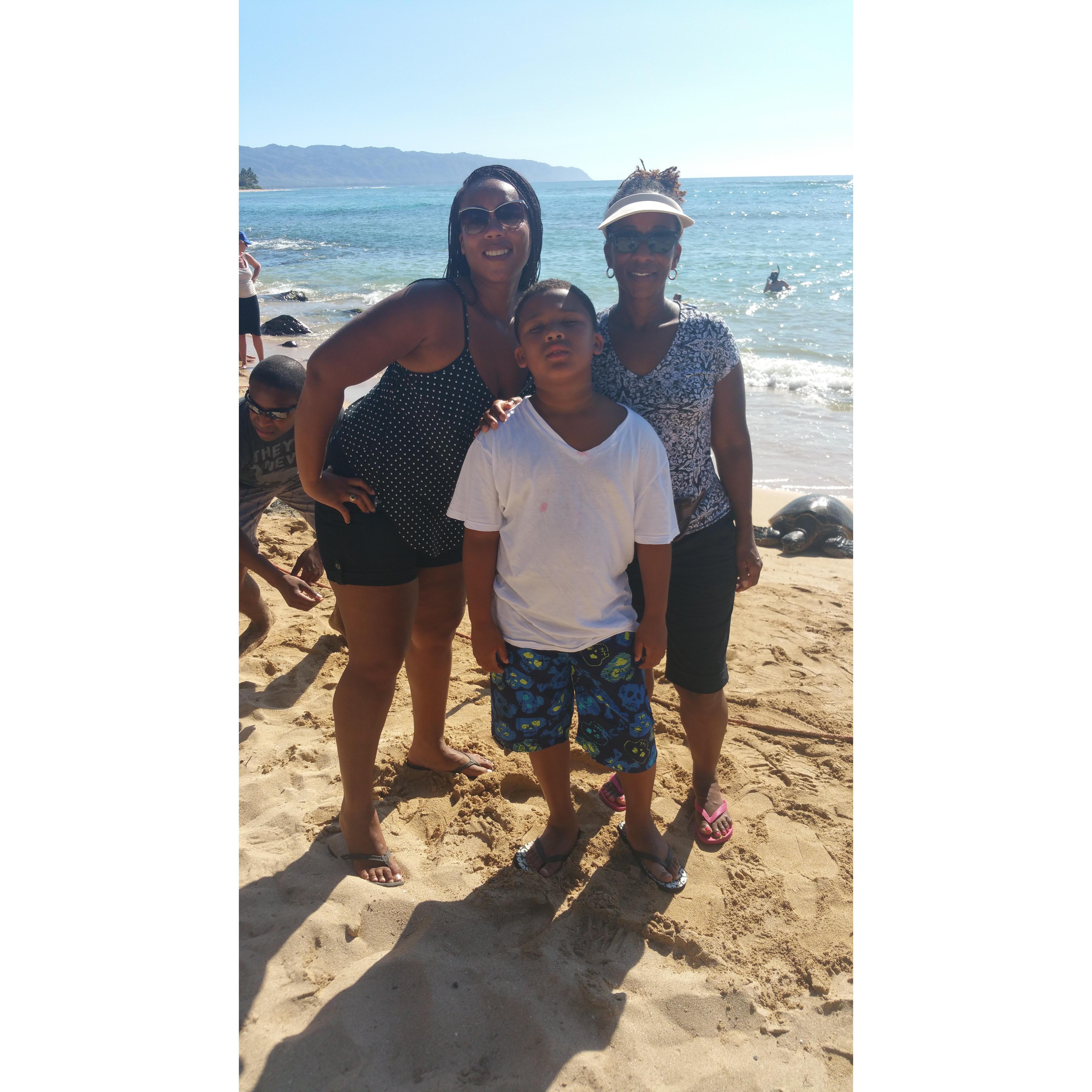 Turtle bay Hawaii.